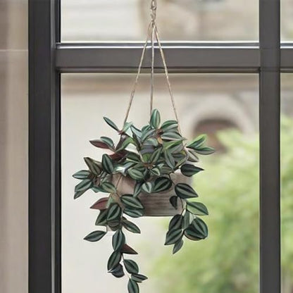 CYS EXCEL Small Wooden Hanging Planter Paulownia Wood Bowl Basket with Jute Rope for Indoor Plants Succulents - size: 7.75"