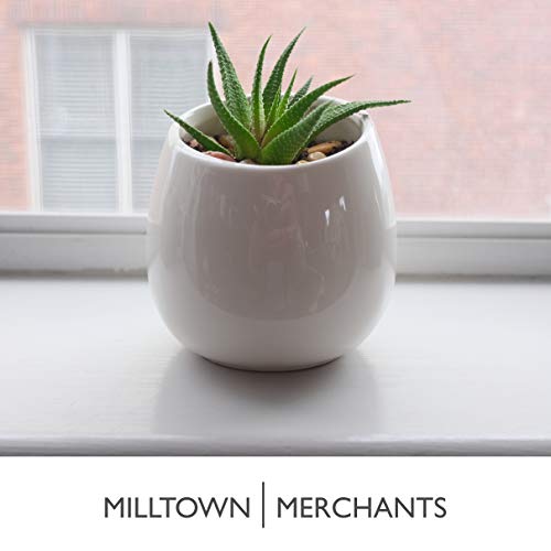 Succulent Wall Planters - Wall Vases - Black Ceramic Wall Mounted Planters - Succulent Plant Pots - Hanging Vases for Living Wall (2 Pack/Modern/White) - color: Small White Modern
