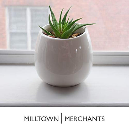 Succulent Wall Planters - Wall Vases - Black Ceramic Wall Mounted Planters - Succulent Plant Pots - Hanging Vases for Living Wall (2 Pack/Modern/White) - color: Small White Modern