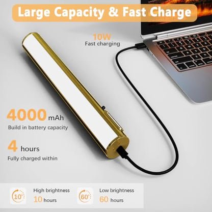Wireless Rechargeable Picture Light, Battery Operated Art Light - color: Without Motion Sensor Antique Brass