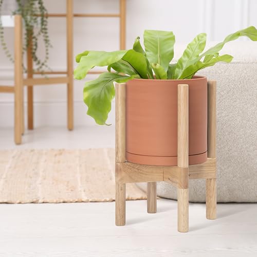 D'vine Dev Terracotta Pot with Natural Wood Stand, 8 in, 55-B-N-5 - color: Terracotta Pot + Natural Stand, size: 8 Inch