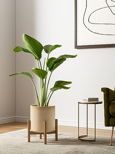 LE TAUCI 10+8+6 Inch Ceramic Pots for Plants, Indoor Planters with Drainage Hole and Plug, Modern Cylinder Flower Pots Set of 3 for Living Room and Bedroom, Glossy, Sand Beige - color: Sand Beige