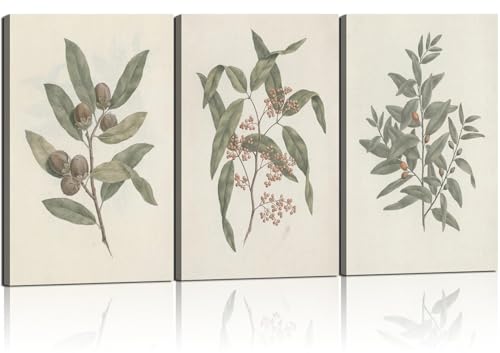 Vintage Framed Botanical Canvas Wall Hanging Floral Poster Painting Image Gallery Quality Print Home Decor For Living Room Bedroom And Other Spaces 12x16 Inches X 3 Inches Ready To Hang - color: Retro plants, size: 12X16 inch