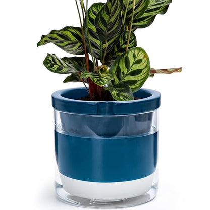 D'vine Dev Self-Watering Blue Terracotta Planter Pot, 8 in, 37-X-C-4 - color: Blue, size: 8 Inch