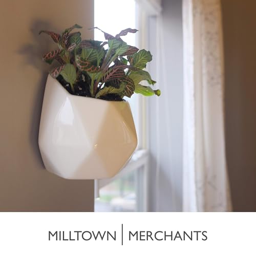 Succulent Wall Planters - Wall Vases - Black Ceramic Wall Mounted Planters - Succulent Plant Pots - Hanging Vases for Living Wall (2 Pack/Geometric/White) - color: Small White Geometric