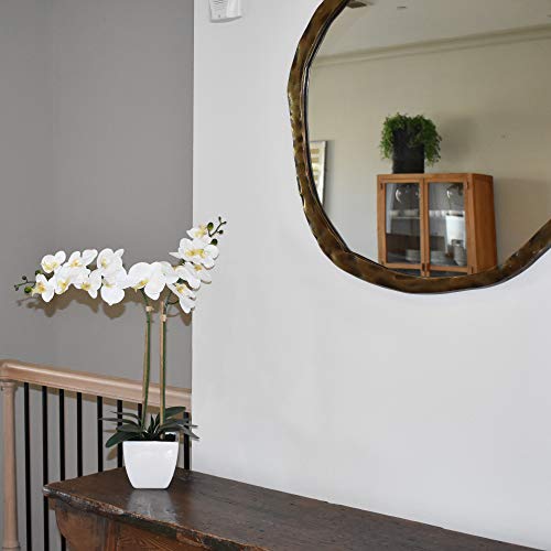 Nature's Elements Tabletop Artificial Orchid Flower (White) - color: White
