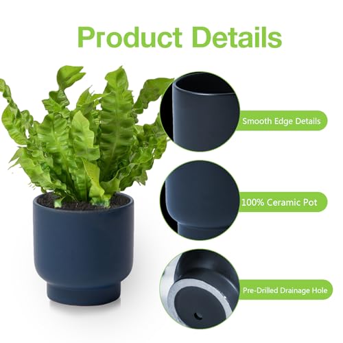 Blue Ceramic Planter - Succulent Flower Small Plant Pots, Pot for Indoor Outdoor Garden Plants with Drainage Holes - Plants Not Included 4.33 X4.33 Inch - color: Blue