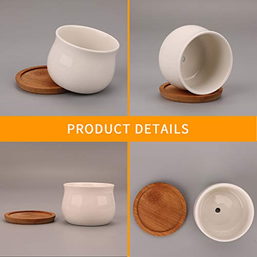 Small Succluent Pot,12Pcs Flower Pots with Drinage,Mini Flower Pots