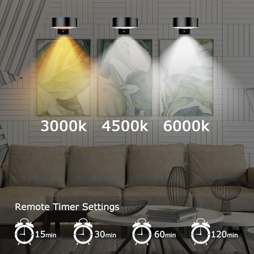 Rechargeable Battery Painting Light Picture Lights with Remote Control, Magnetic LED Art Lights for Framing, Dimmable and Timer-Equipped, 3 Lighting Modes,3Pack White - color: White, size: 3 Pack