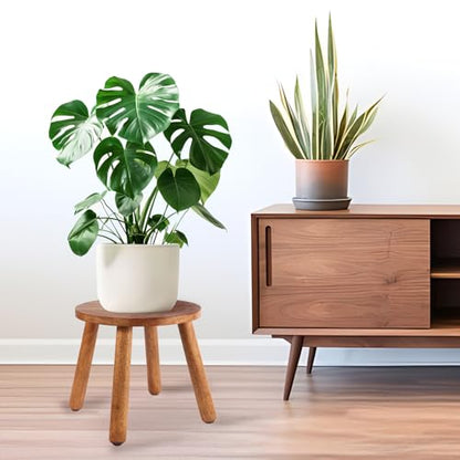 Round Solid Wooden Stool,Plant Stand,Step Stool,Walnut,10" H - color: Walnut, size: 10inch