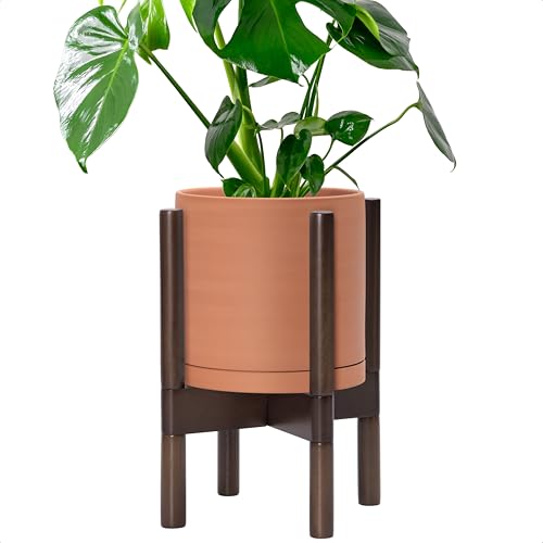 D'vine Dev Terracotta Pot with Walnut Wood Stand, 8 in, 55-B-Y-5 - color: Terracotta Pot + Walnut Color Stand, size: 8 Inch