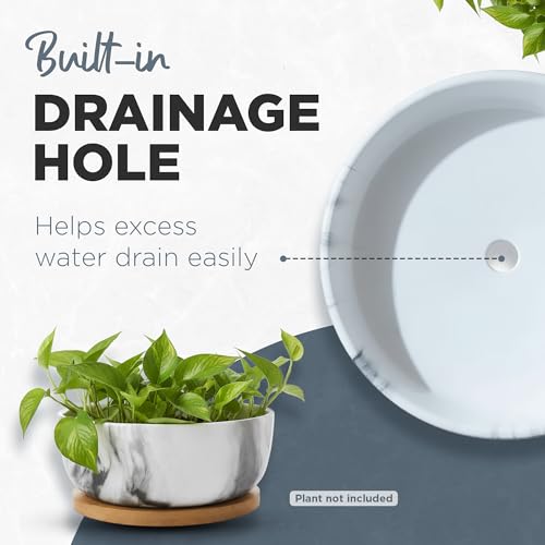Pastel Marble Inspired 8 Inch Ceramic Succulent Planter with Drainage Hole & Bamboo Tray – Large Wide Round Pot Decorative for Indoor Plants, & Cactus