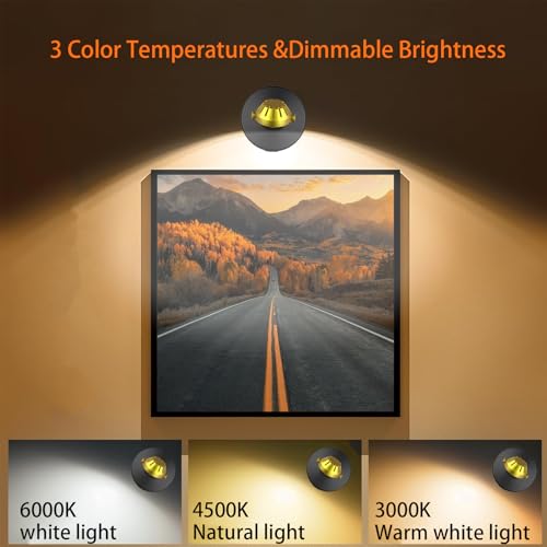 Wireless LED Spotlight 2 Pack, Rechargeable Uplights Picture Lights with Remote, Battery Powered Stick Spot Lights Puck Light with Timer Dimmable for Wall Accent Display Dartboard Painting Closet - color: Black Gold