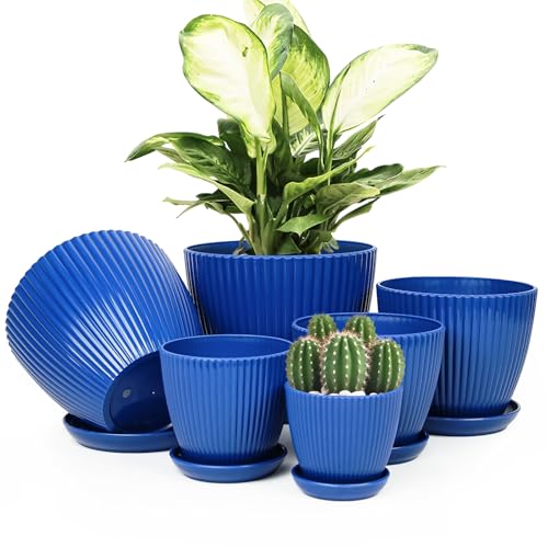 Plant Pots Indoor with Saucers & Drainage - 6 Pack Flower Pots - Plastic Planters for Indoor Planter - 7.5/6.6/5.8/5.0/4.3/3.5 inches Sizes for All Different Types of Plants-Dark Blue - color: Dark Blue