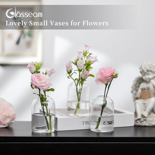 Glasseam Glass Bud Vases for Centerpieces: Bulk of 24 Clear Small Vases - size: S-24Pcs