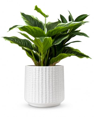 Ceramic Planter Pot with Drainage Hole, 5 Inch Dia, Indoor and Outdoor, Home Patio Garden, Plants&Flowers, Textured Round (White) - style: Textured Round-White
