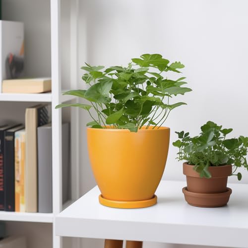 6.8 Inch Plant Pot - Ceramic Planter with Drainage Hole and Saucer, Modern Round Flower Pot, Planters for Indoor Plants, Home Garden Decor, Orange - color: Glossy Orange, size: 6 Inch
