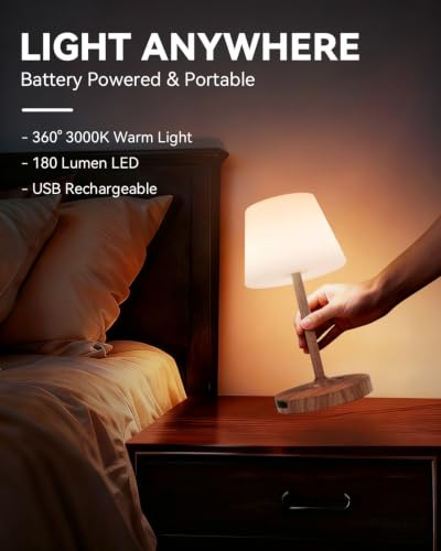 SAIWEYA Outdoor Waterproof Shower Lamp, 5200mAh Rechargeable Bathroom Lamp - color: Dark Walnut, size: 5200mAh