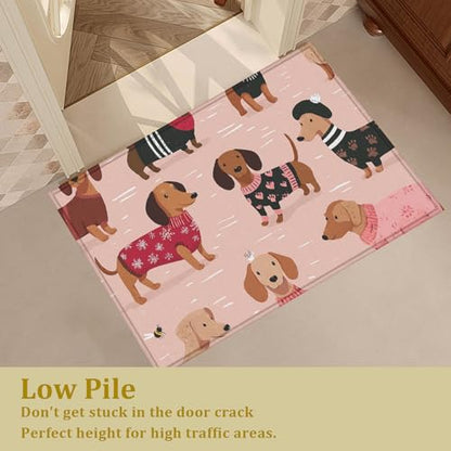 Pink Dachshund Dog Bath Mat Rug, Door Mat Doormat Entrance Non-Slip Bathroom Rugs for Entryway Bathroom Kitchen 17 x 30 Inch - color: Pink Dachshund Dog
