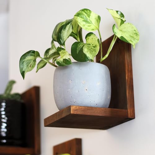 Daniel's Plants 3 Pack Midcentury Modern L Shaped Floating Shelves | Wall Mounted Plant Shelf Kit | Solid Wooden Shelf | 3 Shelves (Woodland Brown) - color: Woodland Brown