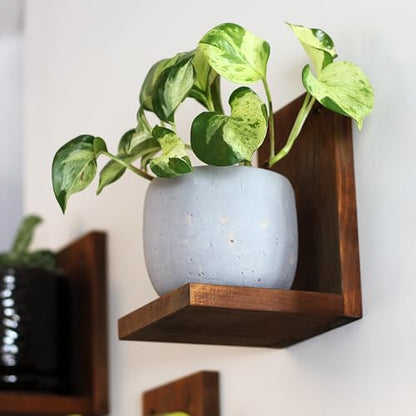 Daniel's Plants 3 Pack Midcentury Modern L Shaped Floating Shelves | Wall Mounted Plant Shelf Kit | Solid Wooden Shelf | 3 Shelves (Woodland Brown) - color: Woodland Brown