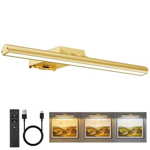 16" Picture Lights for Wall - 10000mAh Rechargeable Art Light - color: Gold, size: 16inch