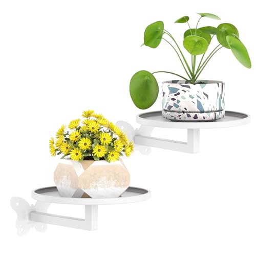 Wall Mounted Plant Holder Butterfly Metal Hanging Shelf for Indoor Plants Succulents Flowers Decor Sturdy Wall Mounted Storage for Bedroom Living Room Space-Saving 2-Pack White - color: White, size: 2 Pack White