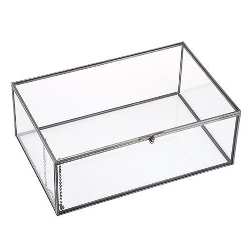 Hipiwe Vintage Glass Box with Lid Jewelry Display Case Vanity Lidded Box - color: Black, size: X-Large