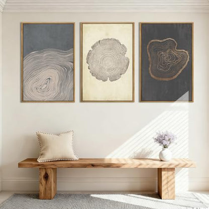 Anyzal Large Neutral Tree Ring Wood Framed Canvas Wall Art - color: Neutral Tree Ring, size: 24"L x 16"W
