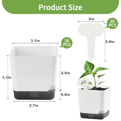 Oliz 3" Small Succulent Pots, 20pk Plastic Planters w/Drainage & Saucers - size: Mini White Pots 20 Pack