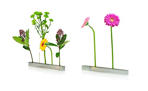 XXD Flower Boulevard Vase – an Vase – Impressed by Design