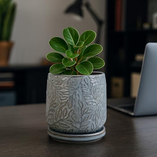 D'vine Dev Embossed Leaves Ceramic Planter, 4 in, Graphite Blue, 27-A-Z-9 - color: Graphite Blue, size: 4 Inch