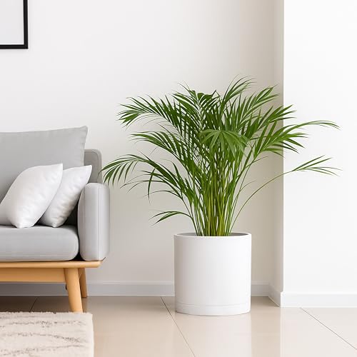 D'vine Dev Plastic Planter Pot with Saucer, 16 in, White, 74-X-A-5 - color: Matte White, size: 16"