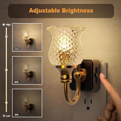 JandCase Night Light, Glass Night Lights Plug into Wall 2 Pack - color: Spotted Flower