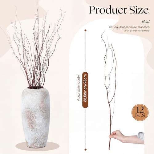 Thiccywoov 12 Pcs Real Dried Willow Branches 38 Inches Natural Curly - color: Natural, size: 38 Inches