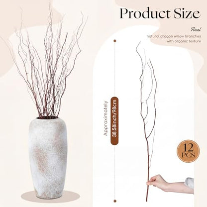 Thiccywoov 12 Pcs Real Dried Willow Branches 38 Inches Natural Curly - color: Natural, size: 38 Inches