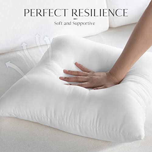 Ashler Outdoor Pillows, 18 x 18 Waterproof Pillow Inserts Set of 4 - size: 18 X 18 Inches - 4 Count