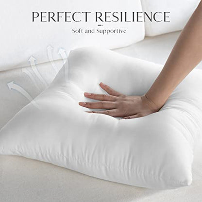 Ashler 16 x 16 Outdoor Pillow Inserts, Set of 2 Water Resistant - size: 16 X 16 Inches - 2 Count