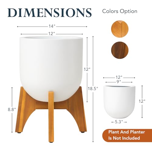 KUTE NEST 8.8" H x 14" W Acacia Solid Wood Plant Stand - Golden Teak - color: Golden Teak, size: Low - Small - 8.8"H x 14"W