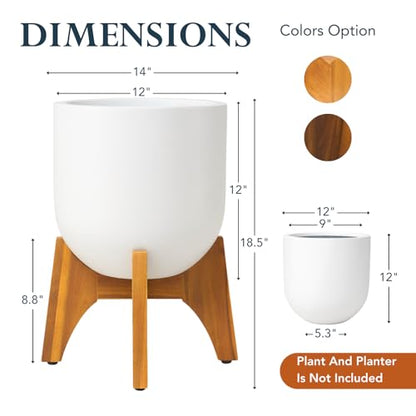 KUTE NEST 8.8" H x 14" W Acacia Solid Wood Plant Stand - Golden Teak - color: Golden Teak, size: Low - Small - 8.8"H x 14"W
