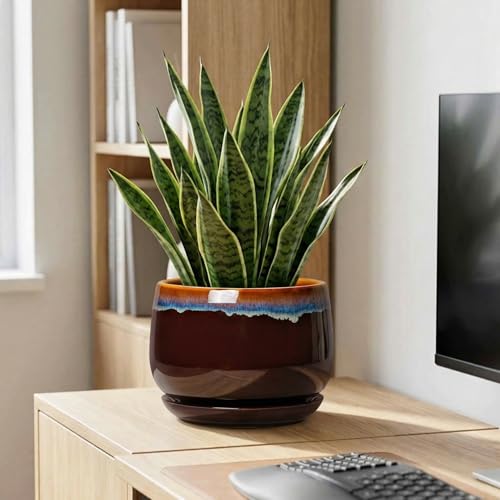 9 Inch Flower Pots - Ceramic Planter with Drainage Hole and Saucer, Decorative Ceramic Pots for Indoor Plants, Round Plant Pot, Garden Home Living Room Decor, Housewarming Gifts, Brown-Blue - size: 9 Inch, style: Brown-blue