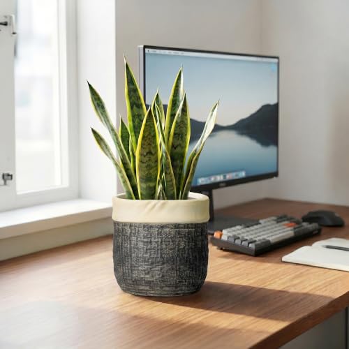 6 Inch Plant Pot, Ceramic Plant Pots, Round Planter, Light Black - color: Light Black, size: 6 Inch