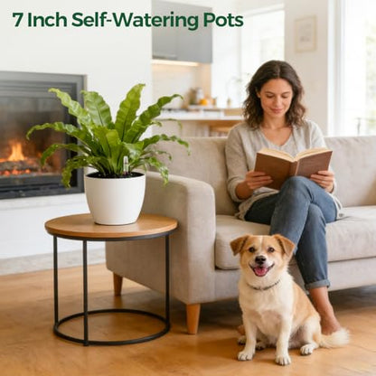 T4U Self Watering Pots 7 Inch Indoor Planters with Water Indicator 2 Pack