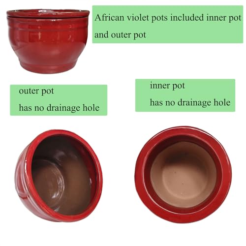 Self Watering African Violet Pots Red 6 inch - color: Red
