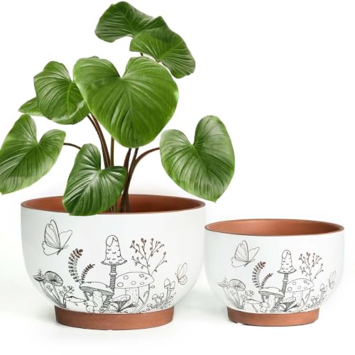 Terracotta Pots, 8+6 Inch Plant Pots, 2 Pcs with Drainage Holes - color: Cottage, size: 8+6 Inch