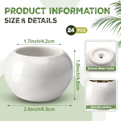 24 Pack 2.5 Inch Small Succulent Pots, White, Classic - style: Classic
