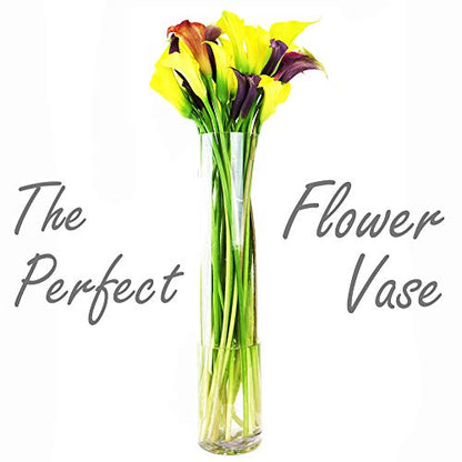 CYS Excel Clear Glass Cylinder Vase (H:24" D:4") | Multiple Size Choices Glass Flower Vase Centerpieces | Hurricane Floating Candle Holder Vase - size: H-24" D-4"