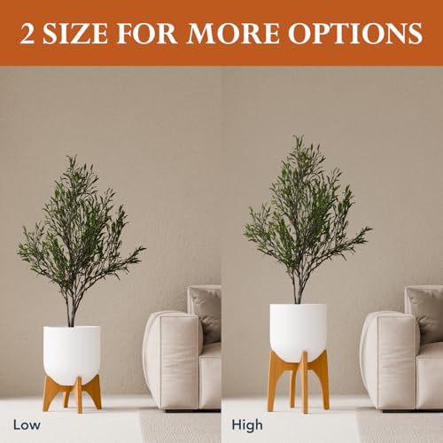 KUTE NEST 11.5" H x 17.9" W Acacia Solid Wood Plant Stand - Golden Teak - color: Golden Teak, size: Low - Medium - 11.5"H x 17.9"W