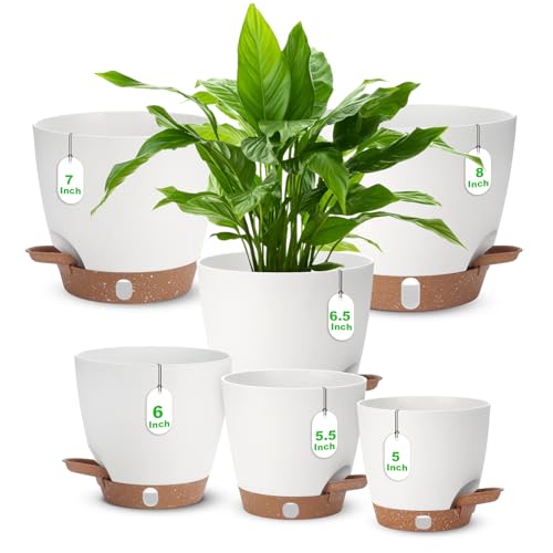 Self Watering Planter with Visual Water Level, 6Pack Small Plastic Pot Set with Drainage Holes and Reservoir Saucers, Modern 8+7+6.5+6+5.5+5 Inch Bottom Watering Flower Pots for Indoor Plant - White - color: White-small