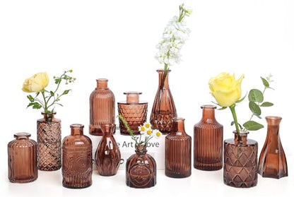 TBWIND 12-Piece Glass Bud Vase Set – Small Caramel Coffee Brown - color: Brown-12pcs, size: 12Pcs